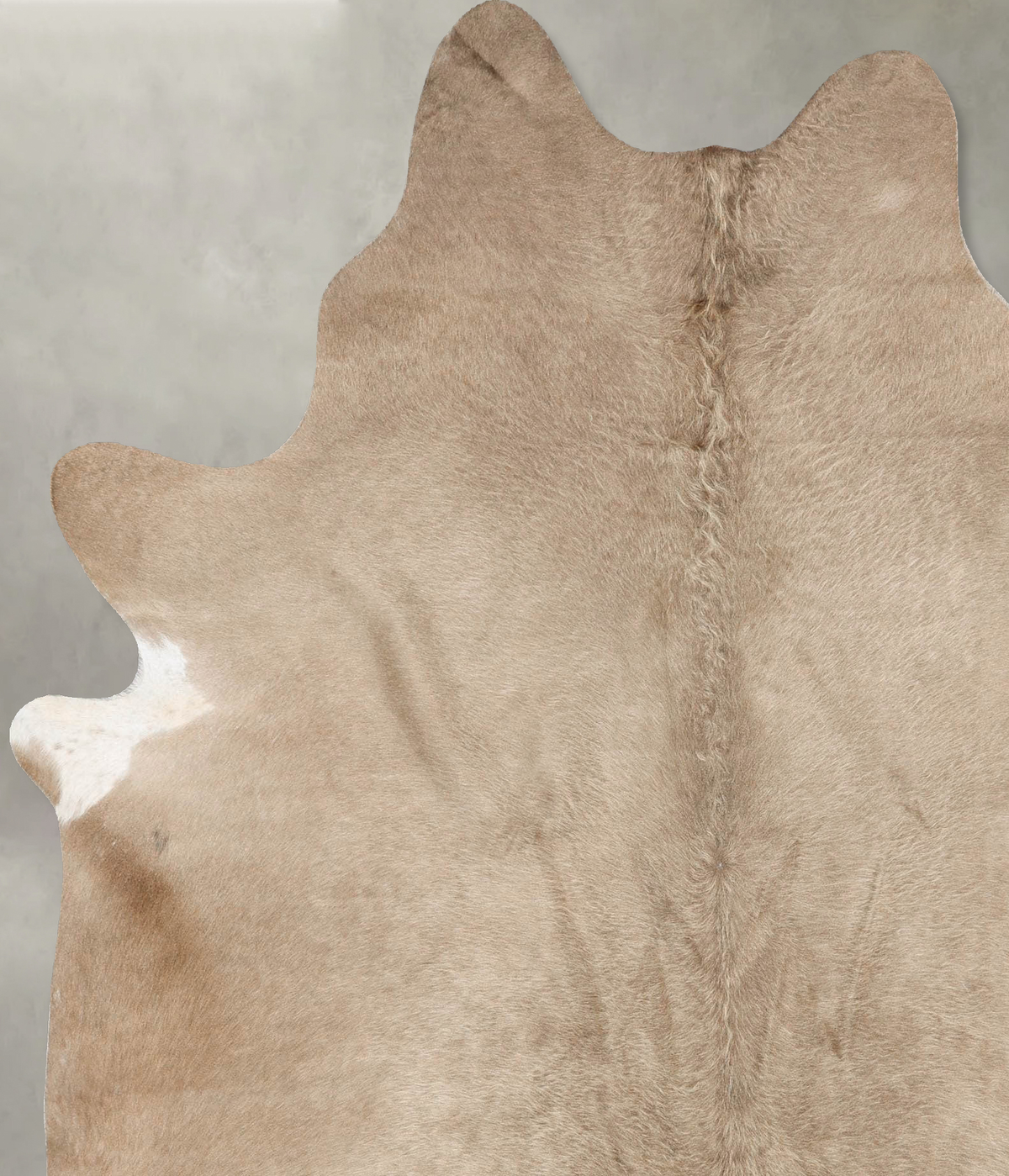 Champagne X-Large Brazilian Cowhide Rug 7'7"H x 6'2"W #B27371 by Hudson Hides