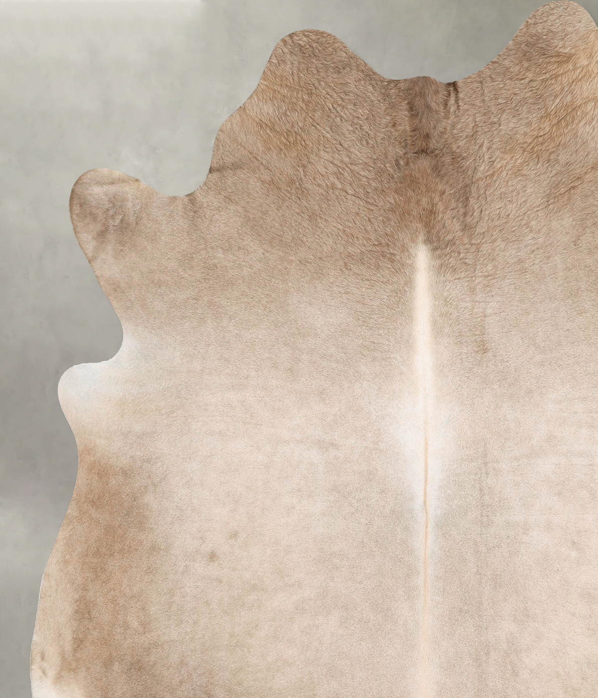 Champagne XX-Large Brazilian Cowhide Rug 7'7"H x 6'10"W #B27372 by Hudson Hides