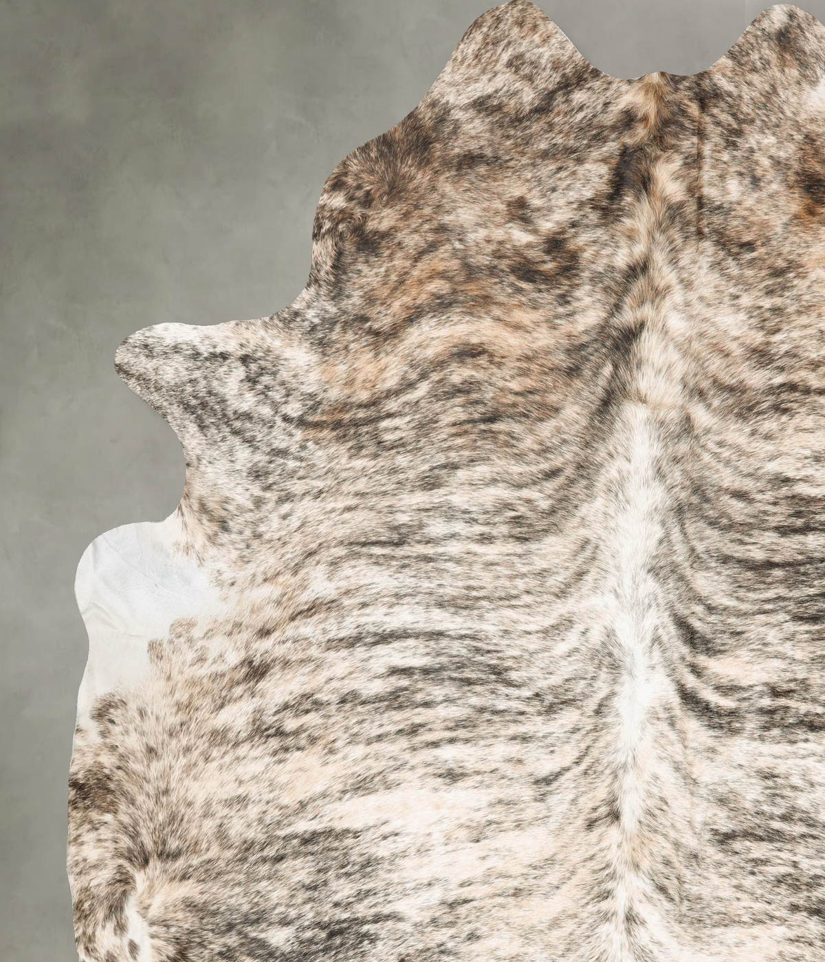 Light Brindle XX-Large Brazilian Cowhide Rug 8'4"H x 7'4"W #B27381 by Hudson Hides