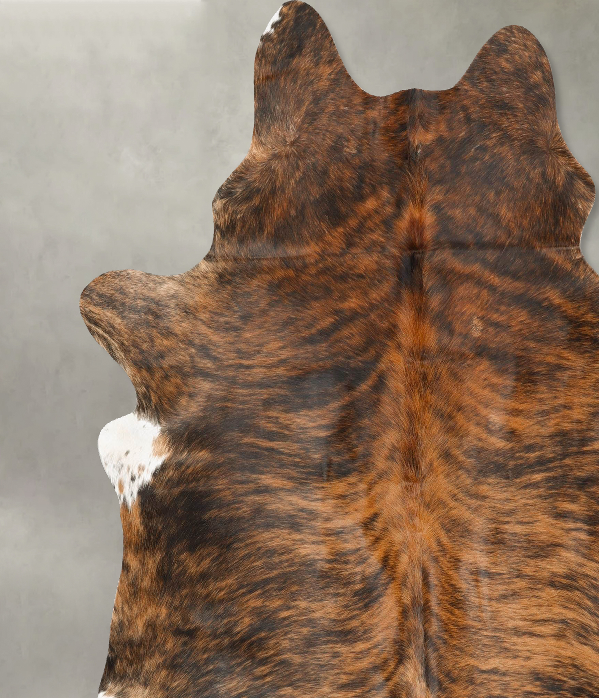 Medium Brindle X-Large Brazilian Cowhide Rug 7'4"H x 6'9"W #B27386 by Hudson Hides