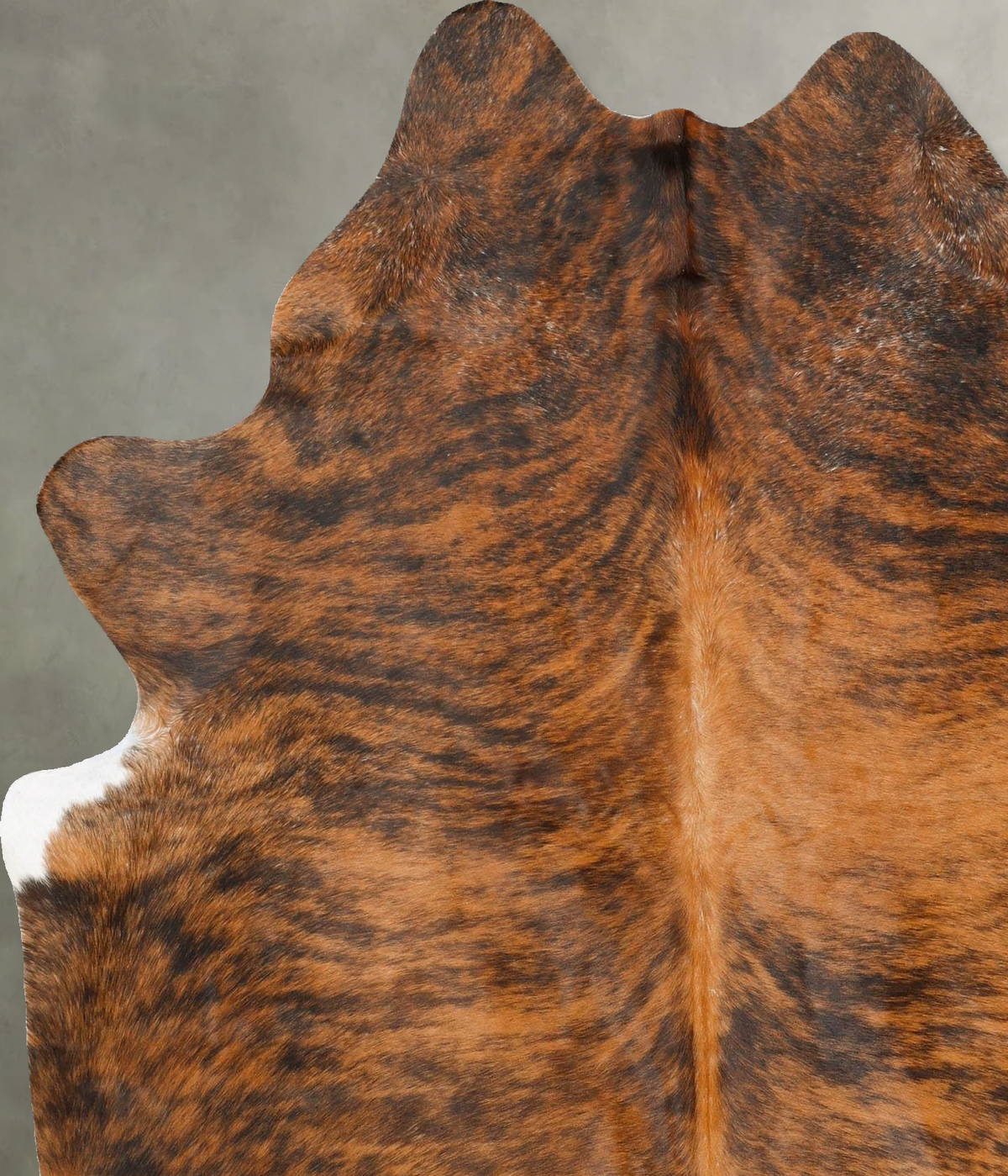 Medium Brindle Large Brazilian Cowhide Rug 6'7"H x 5'8"W #B27387 by Hudson Hides