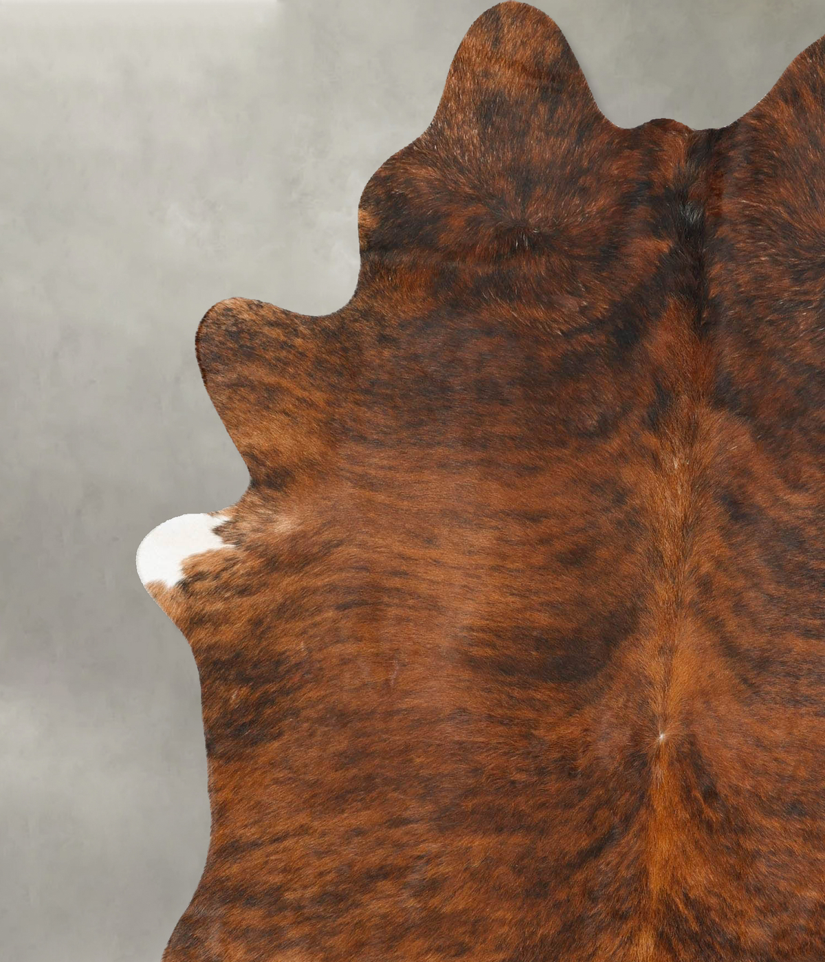 Medium Brindle X-Large Brazilian Cowhide Rug 7'3"H x 5'10"W #B27389 by Hudson Hides