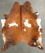 Medium Brindle X-Large Brazilian Cowhide Rug 7'2"H x 6'4"W #B27391 by Hudson Hides