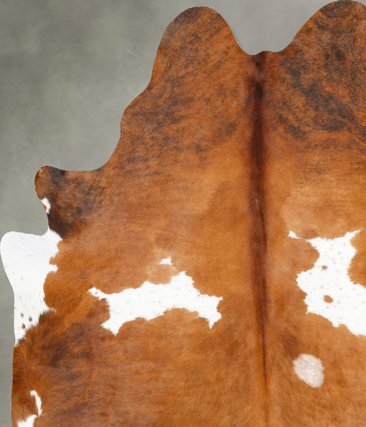 Medium Brindle X-Large Brazilian Cowhide Rug 7'2"H x 6'4"W #B27391 by Hudson Hides