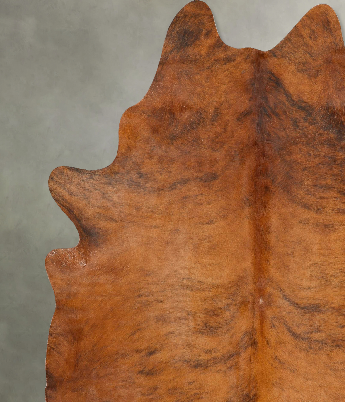 Medium Brindle X-Large Brazilian Cowhide Rug 7'8"H x 6'4"W #B27397 by Hudson Hides