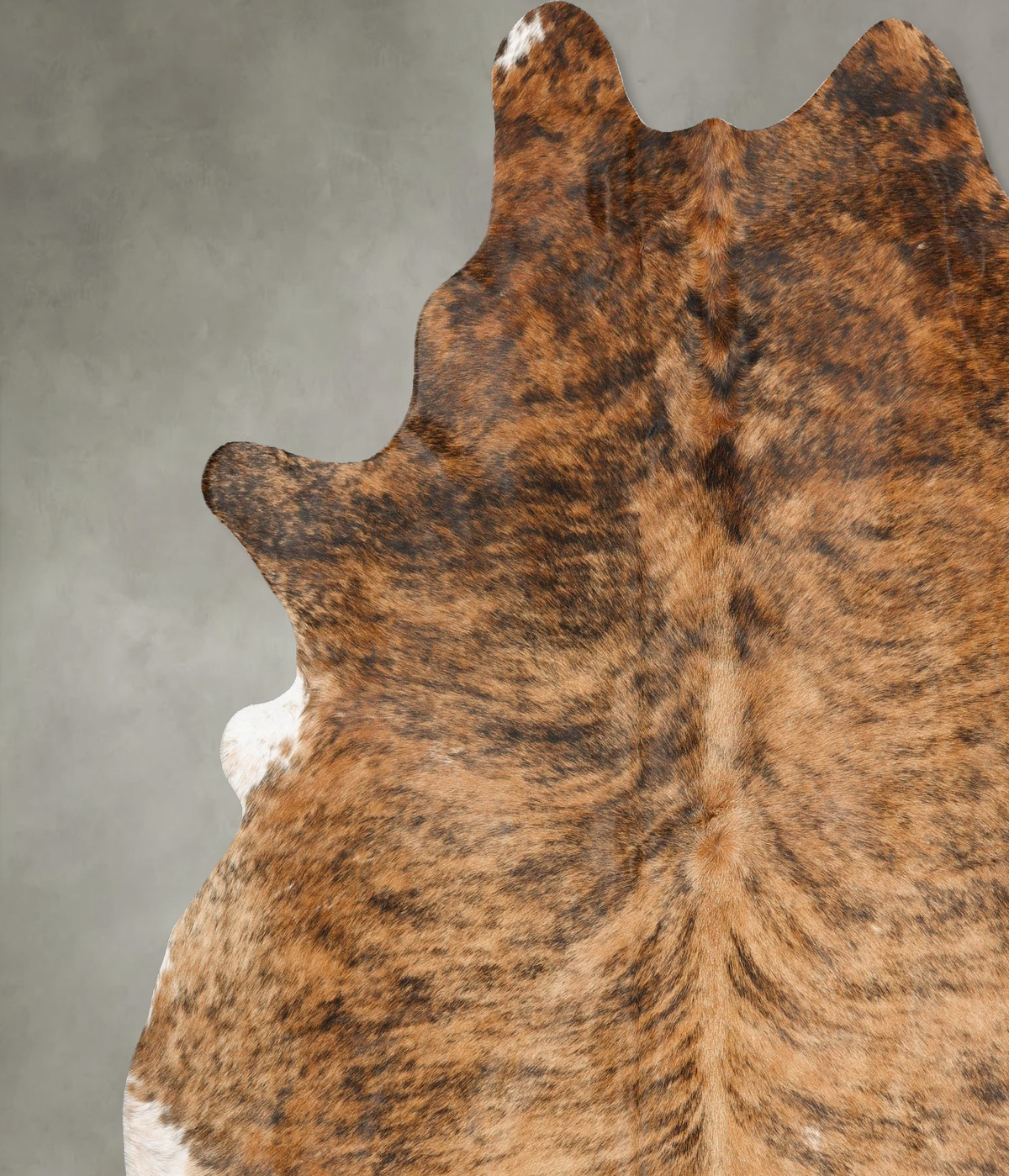 Medium Brindle XX-Large Brazilian Cowhide Rug 8'0"H x 7'2"W #B27400 by Hudson Hides