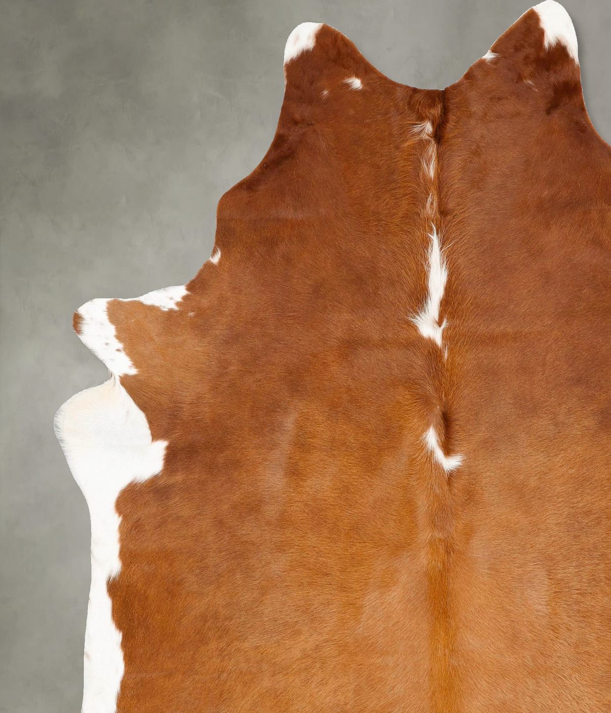 Brown and White Regular XX-Large Brazilian Cowhide Rug 8'0"H x 6'7"W #B27401 by Hudson Hides