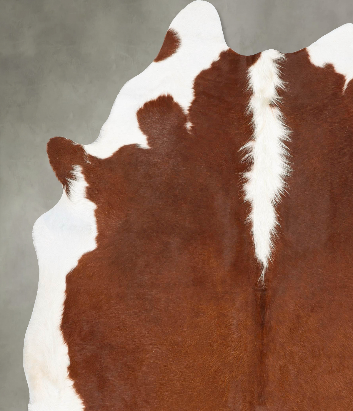 Hereford XX-Large Brazilian Cowhide Rug 8'1"H x 7'0"W #B27402 by Hudson Hides