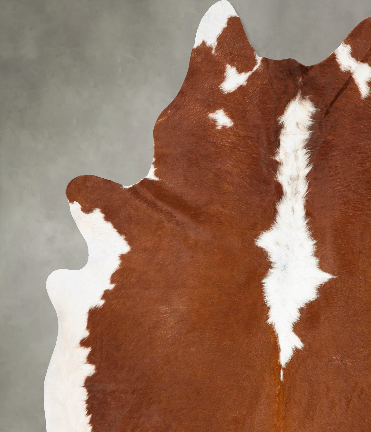 Hereford XX-Large Brazilian Cowhide Rug 8'3"H x 6'11"W #B27403 by Hudson Hides
