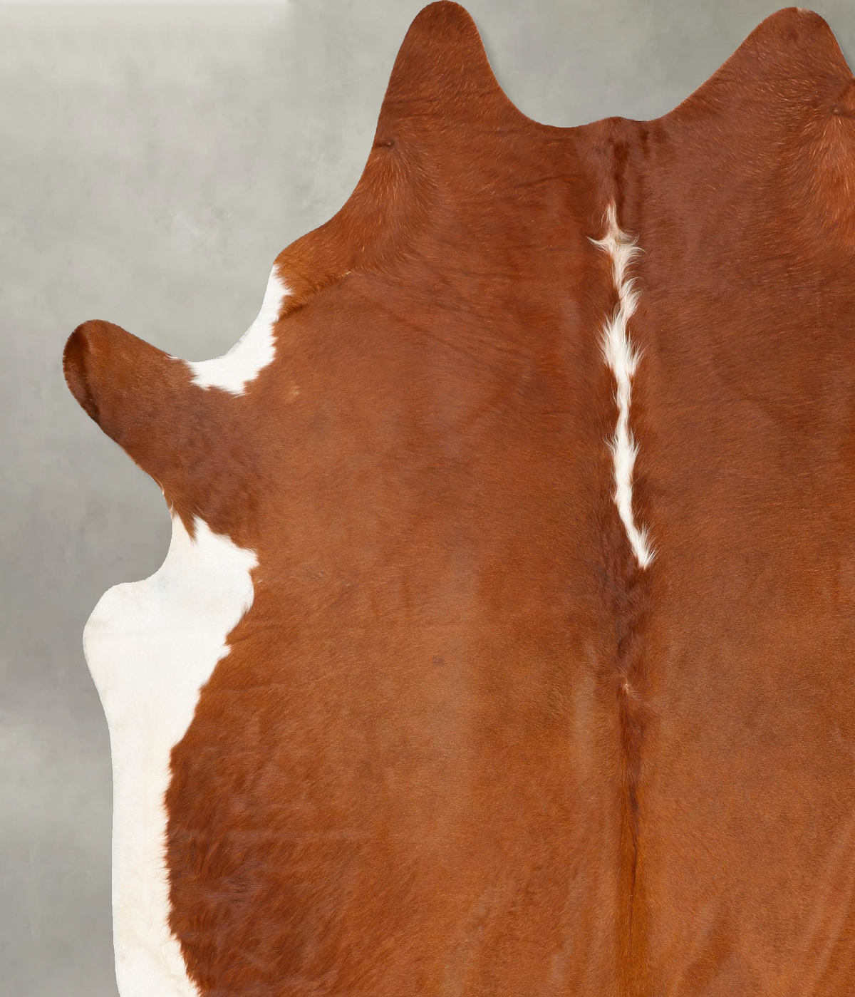 Hereford XX-Large Brazilian Cowhide Rug 8'3"H x 7'6"W #B27404 by Hudson Hides