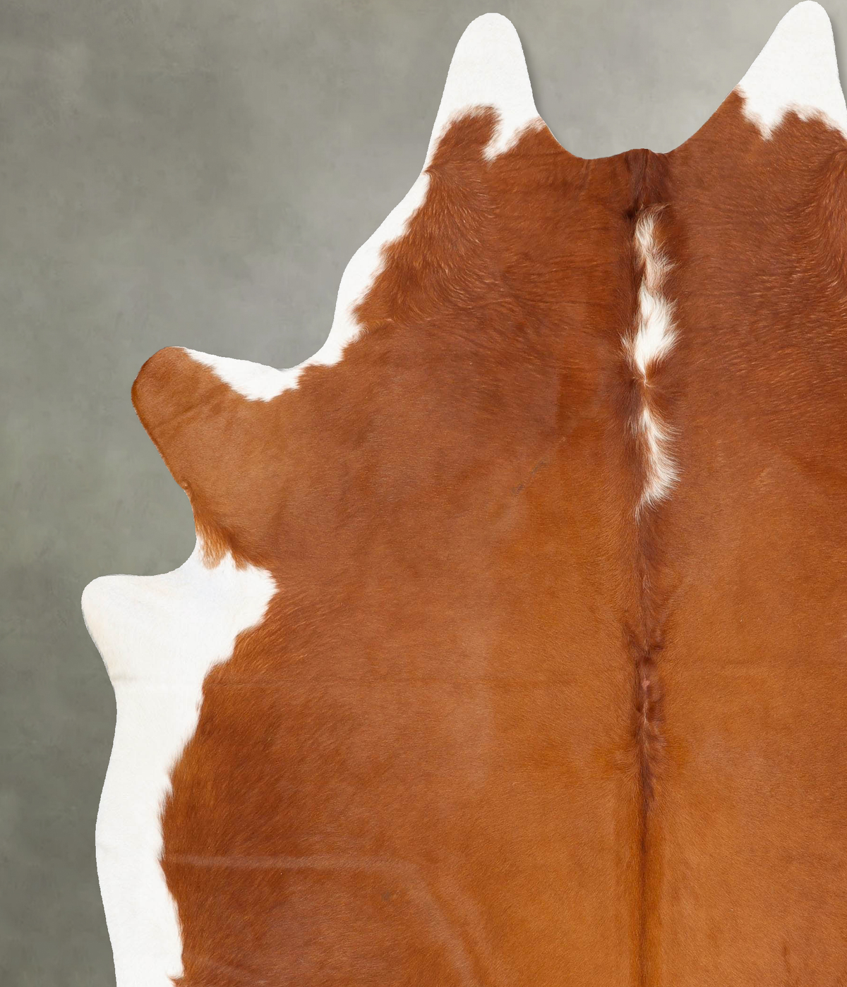 Brown and White Regular XX-Large Brazilian Cowhide Rug 8'7"H x 7'0"W #B27405 by Hudson Hides