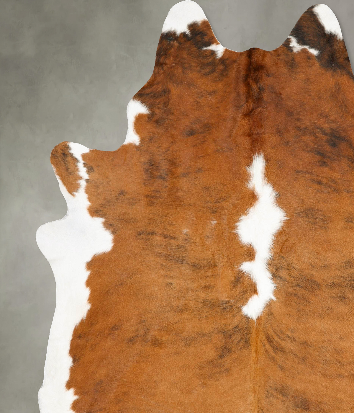 Tricolor XX-Large Brazilian Cowhide Rug 8'9"H x 7'4"W #B27416 by Hudson Hides