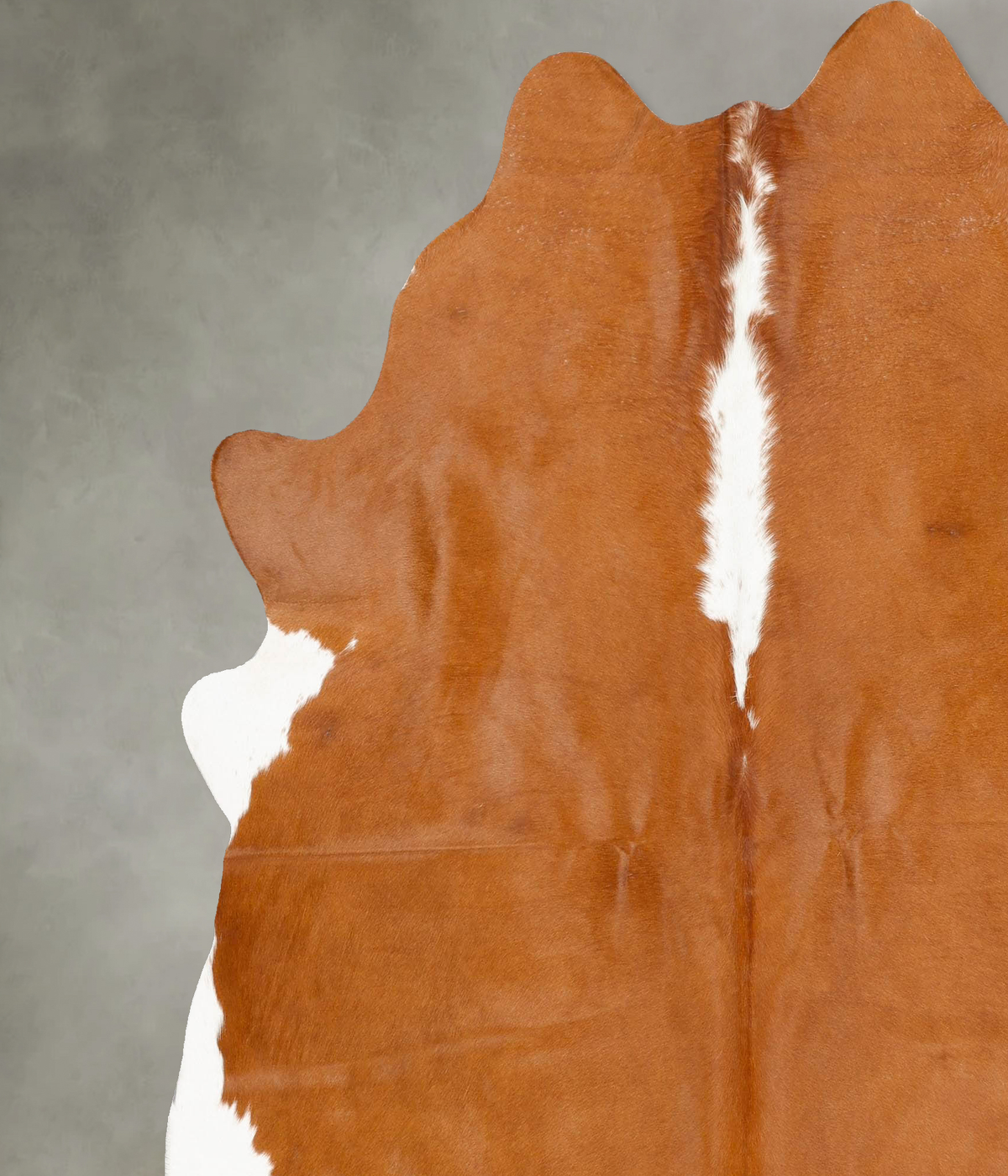 Hereford X-Large Brazilian Cowhide Rug 7'5"H x 6'8"W #B27418 by Hudson Hides