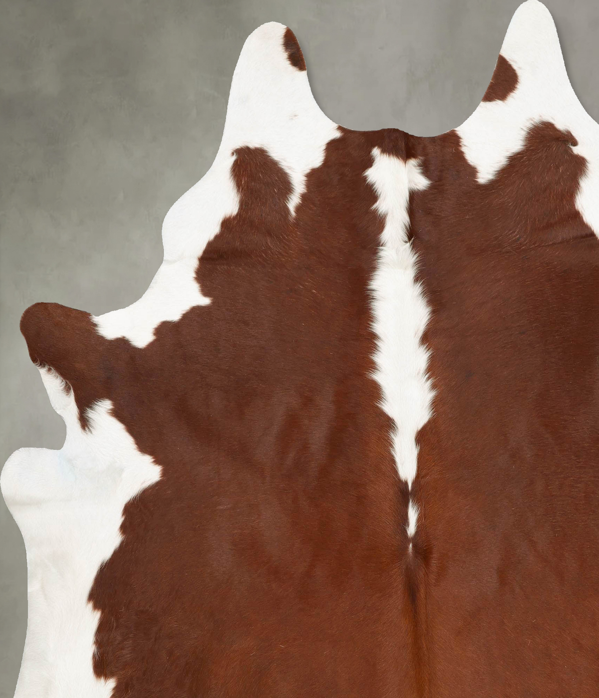 Hereford XX-Large Brazilian Cowhide Rug 7'10"H x 6'8"W #B27419 by Hudson Hides