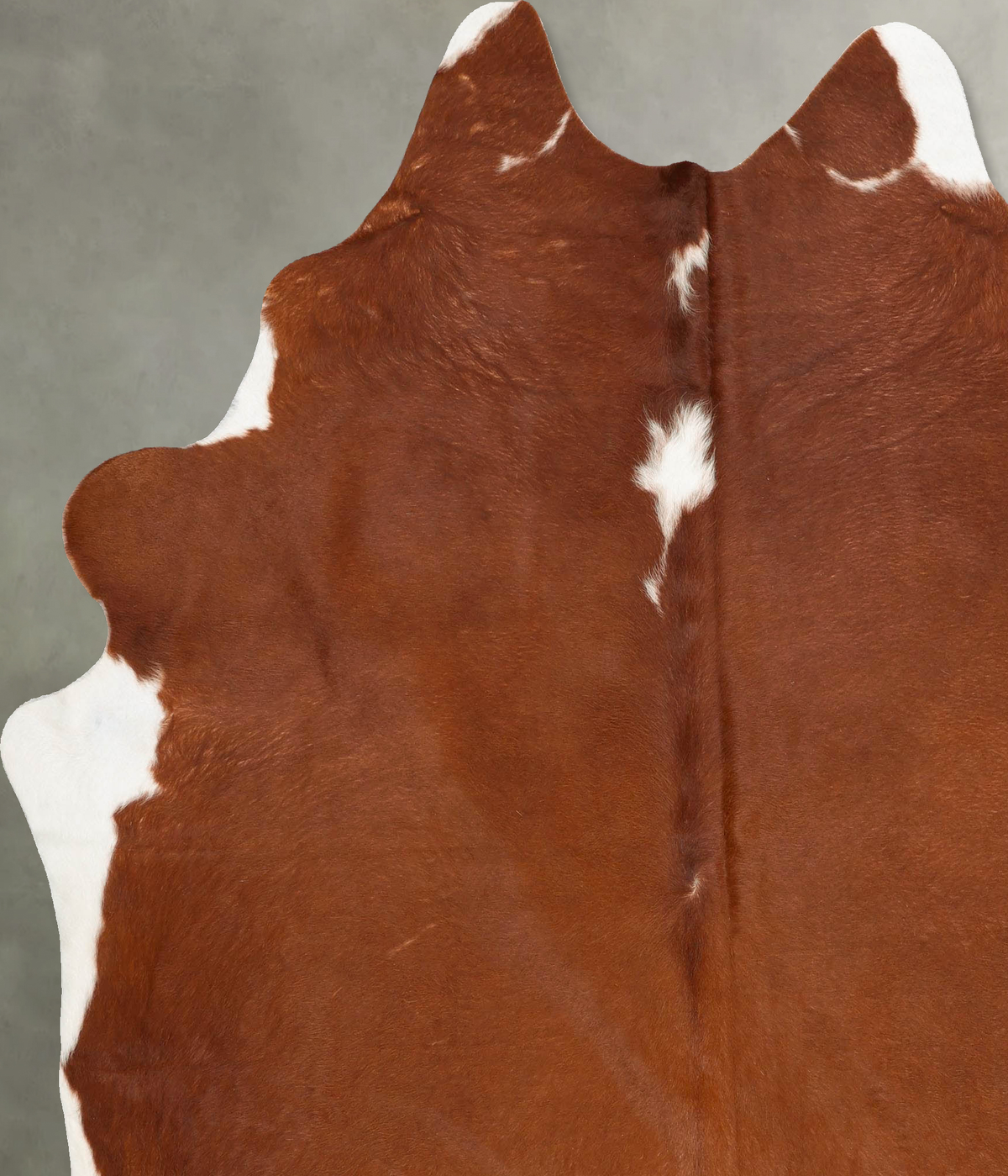 Brown and White Regular XX-Large Brazilian Cowhide Rug 8'2"H x 6'9"W #B27422 by Hudson Hides