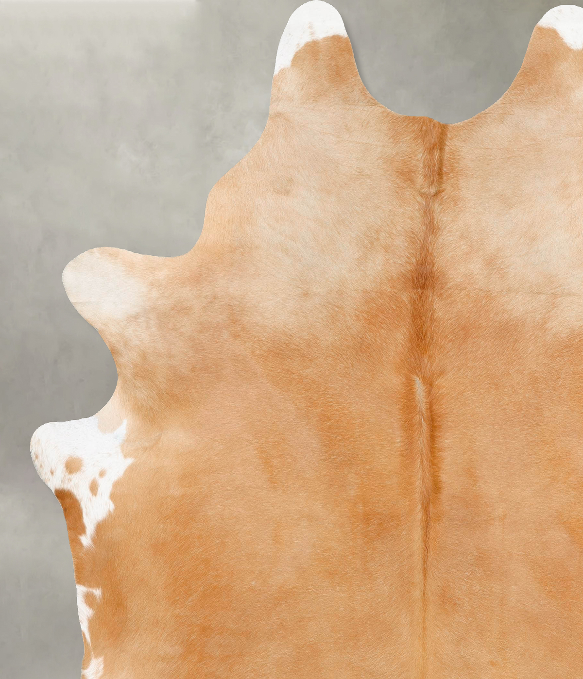 Beige XX-Large Brazilian Cowhide Rug 8'9"H x 7'1"W #B27423 by Hudson Hides