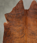Medium Brindle X-Large Brazilian Cowhide Rug 7'2"H x 6'7"W #B27424 by Hudson Hides