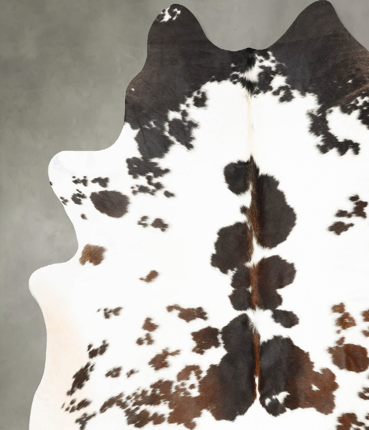 Chocolate and White X-Large Brazilian Cowhide Rug 7'6"H x 6'5"W #B27429 by Hudson Hides