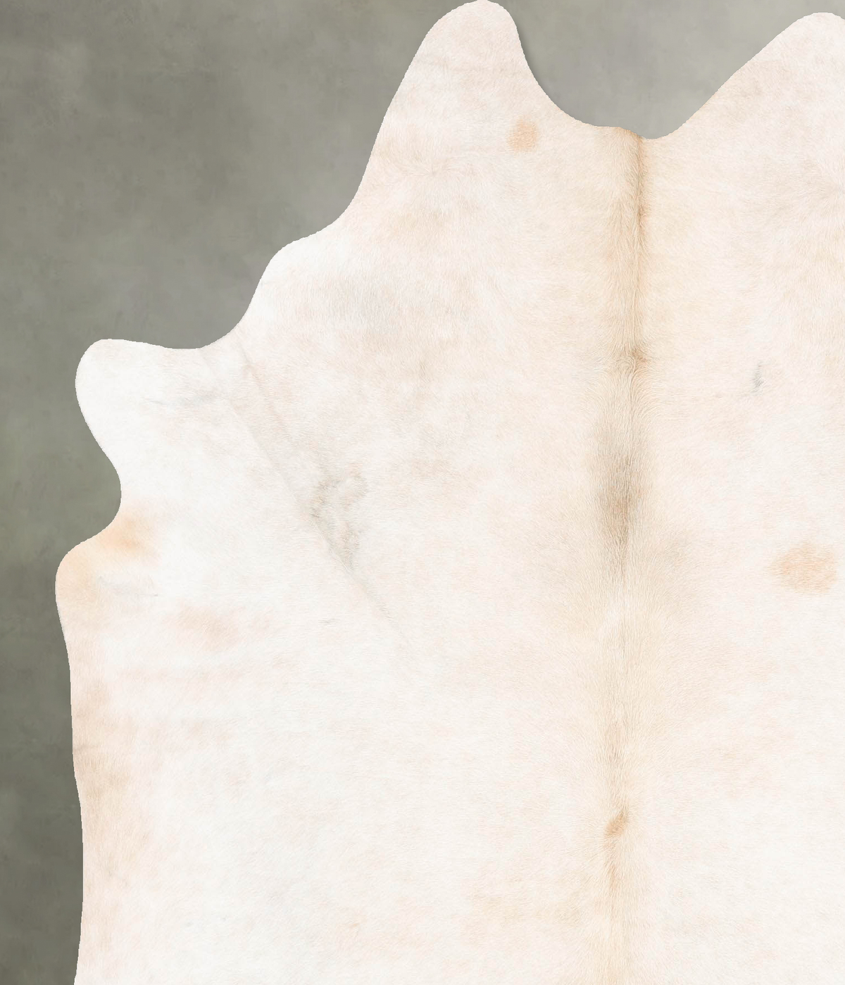 Ivory with Beige X-Large Brazilian Cowhide Rug 7'2"H x 5'11"W #B27430 by Hudson Hides