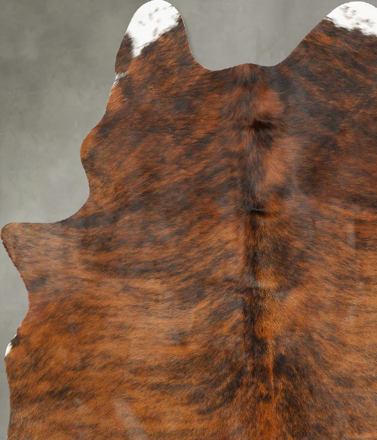 Medium Brindle Large Brazilian Cowhide Rug 6'10"H x 5'1"W #B27436 by Hudson Hides