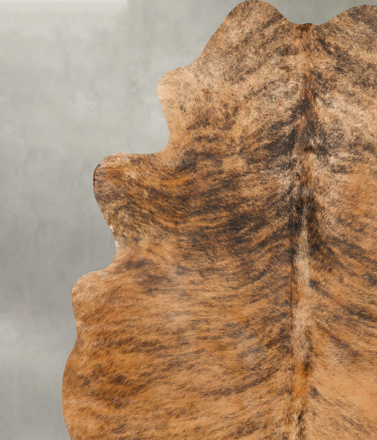 Medium Brindle X-Large Brazilian Cowhide Rug 7'8"H x 5'11"W #B27437 by Hudson Hides
