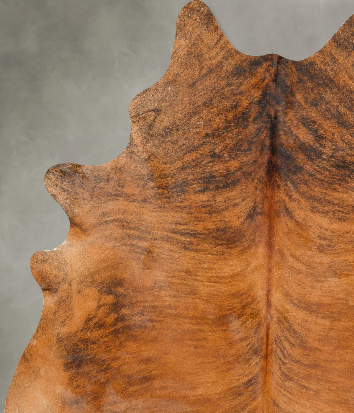 Medium Brindle X-Large Brazilian Cowhide Rug 7'11"H x 6'1"W #B27439 by Hudson Hides