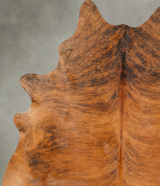 Medium Brindle X-Large Brazilian Cowhide Rug 7'11"H x 6'1"W #B27439 by Hudson Hides