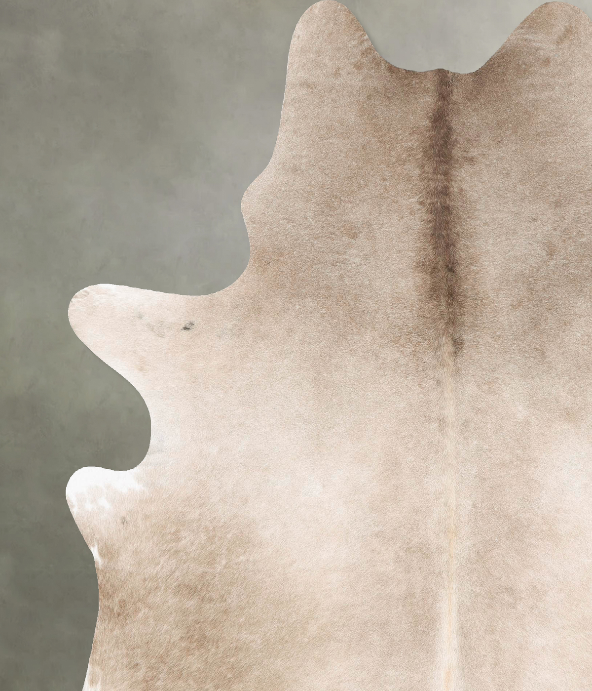 Taupe XX-Large Brazilian Cowhide Rug 8'0"H x 6'5"W #B27441 by Hudson Hides