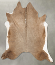Taupe XX-Large Brazilian Cowhide Rug 8'3"H x 7'7"W #B27443 by Hudson Hides