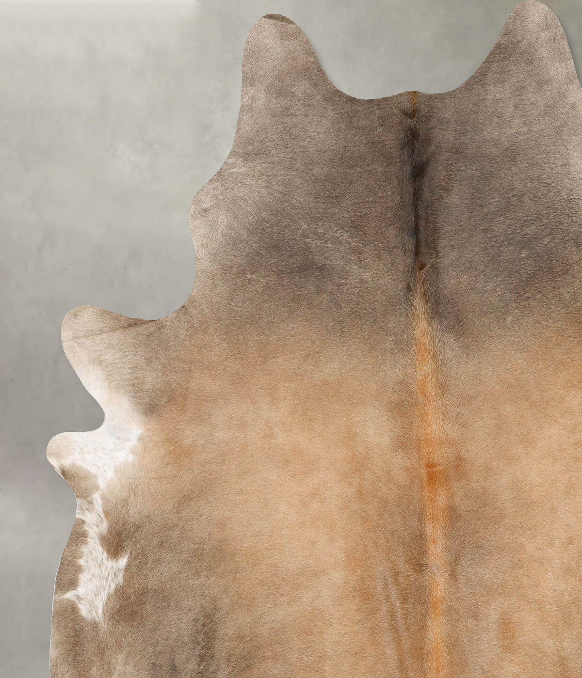Taupe XX-Large Brazilian Cowhide Rug 8'4"H x 7'1"W #B27445 by Hudson Hides