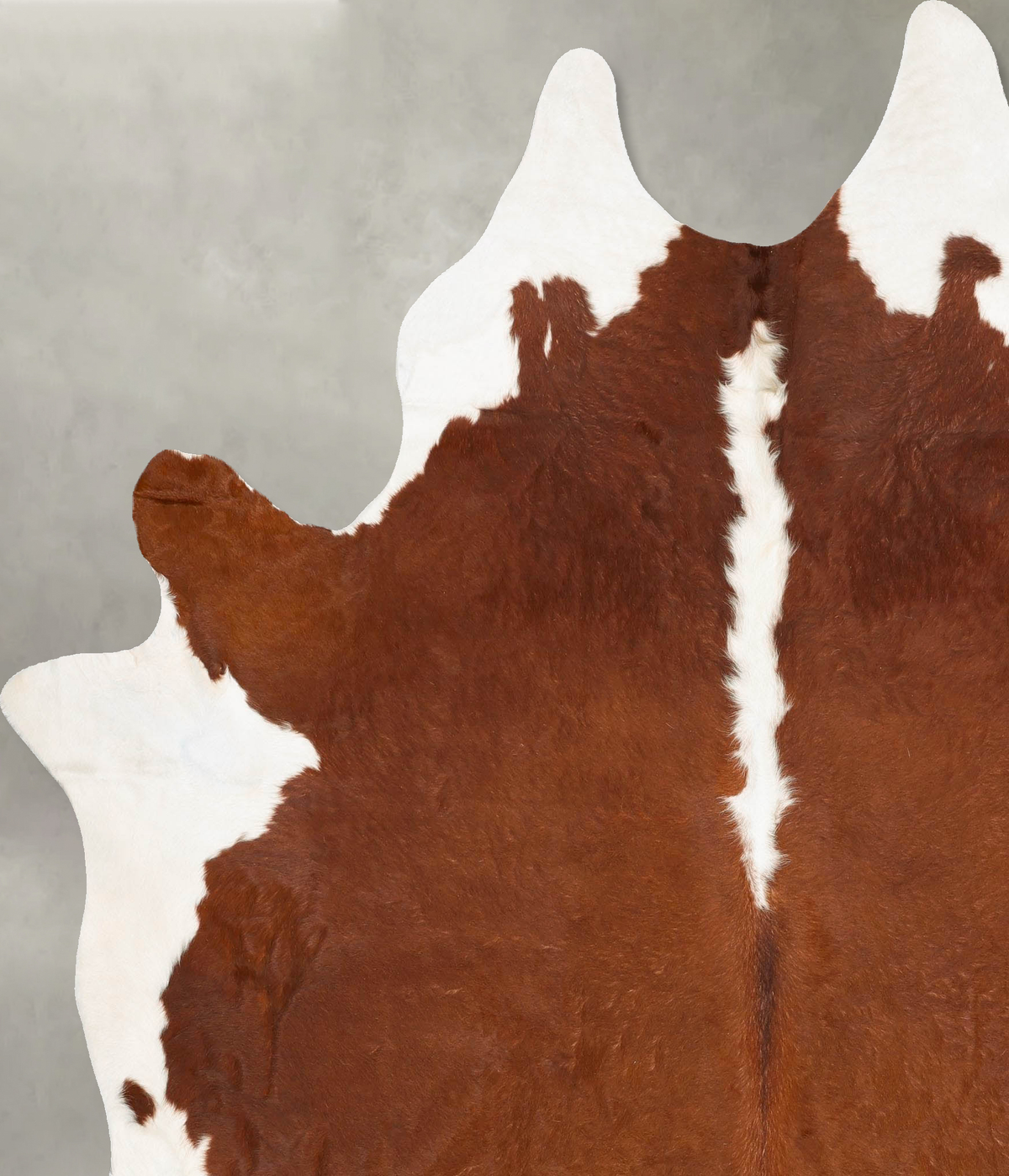 Hereford XX-Large Brazilian Cowhide Rug 8'5"H x 6'10"W #B27446 by Hudson Hides