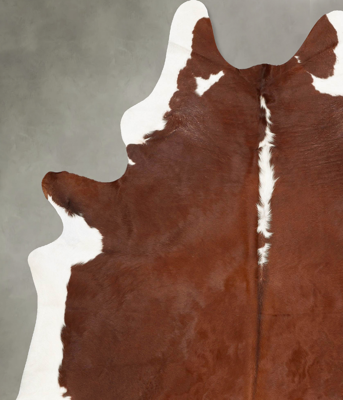 Hereford XX-Large Brazilian Cowhide Rug 8'9"H x 6'7"W #B27447 by Hudson Hides