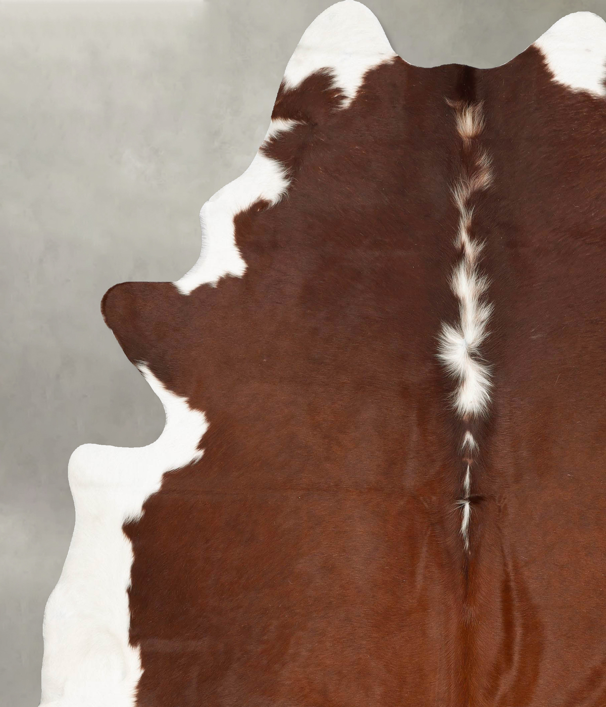 Hereford XX-Large Brazilian Cowhide Rug 8'7"H x 7'1"W #B27450 by Hudson Hides