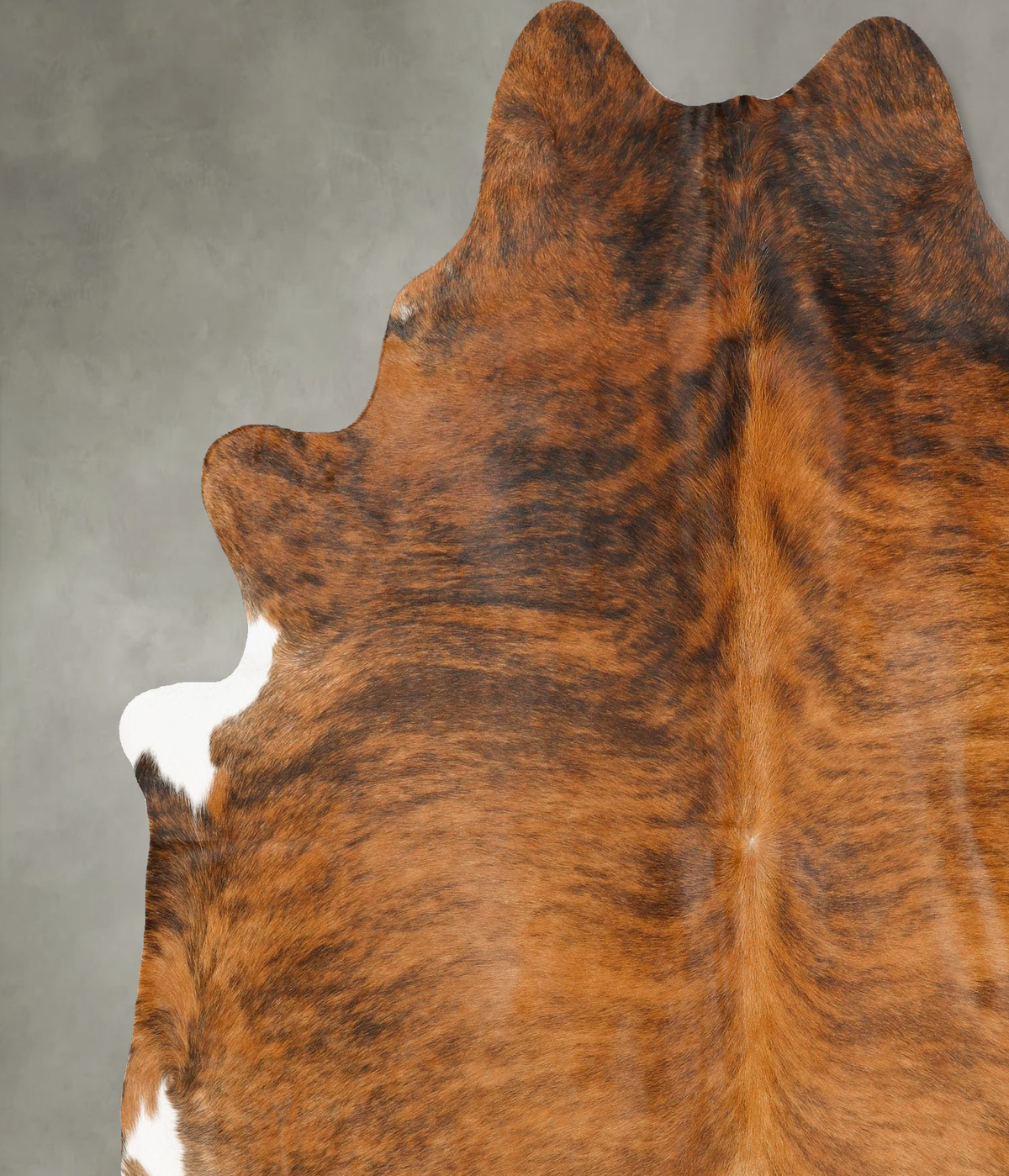Medium Brindle XX-Large Brazilian Cowhide Rug 7'11"H x 6'9"W #B27455 by Hudson Hides