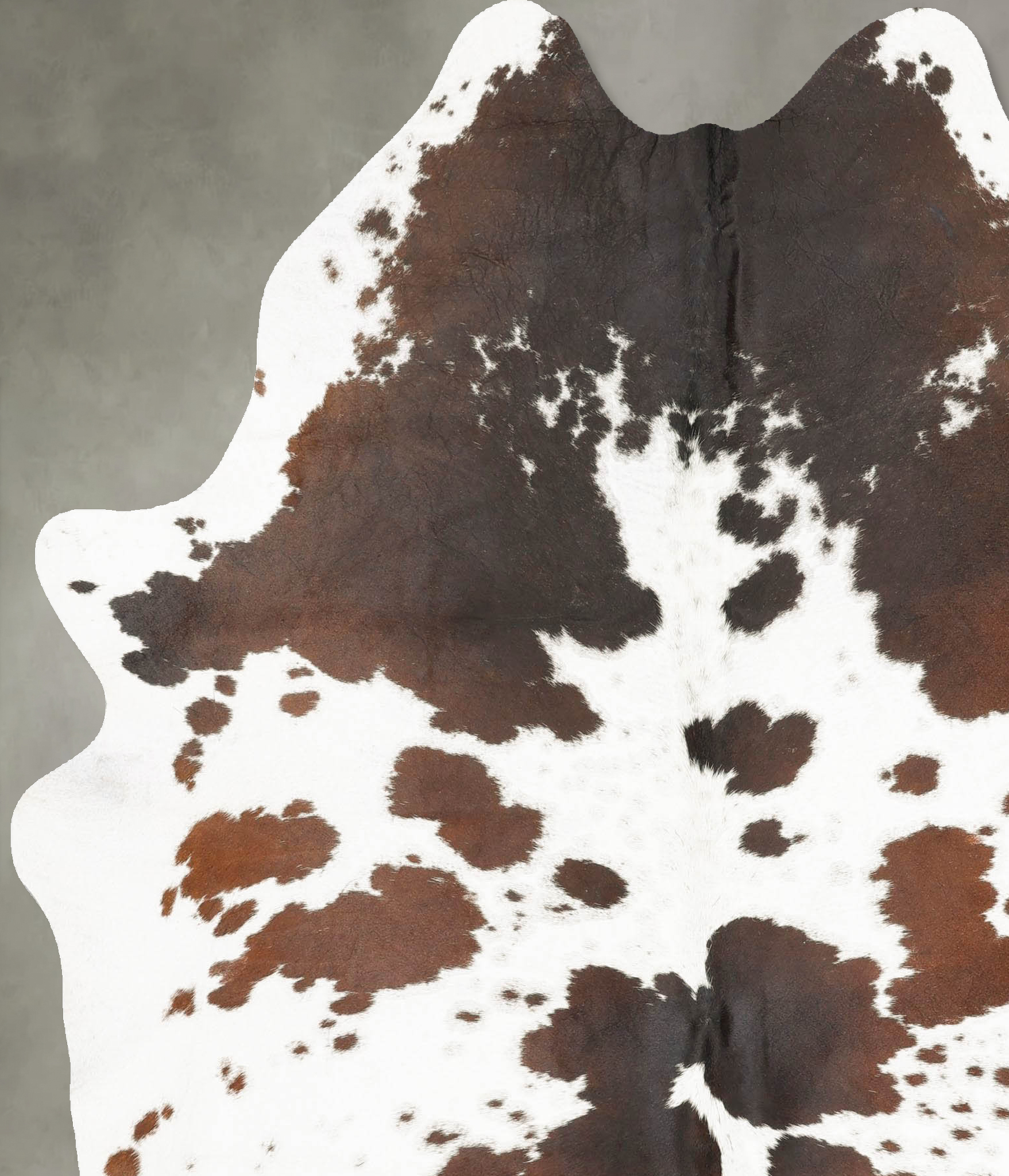 Chocolate and White Cowhide Rug #B27470