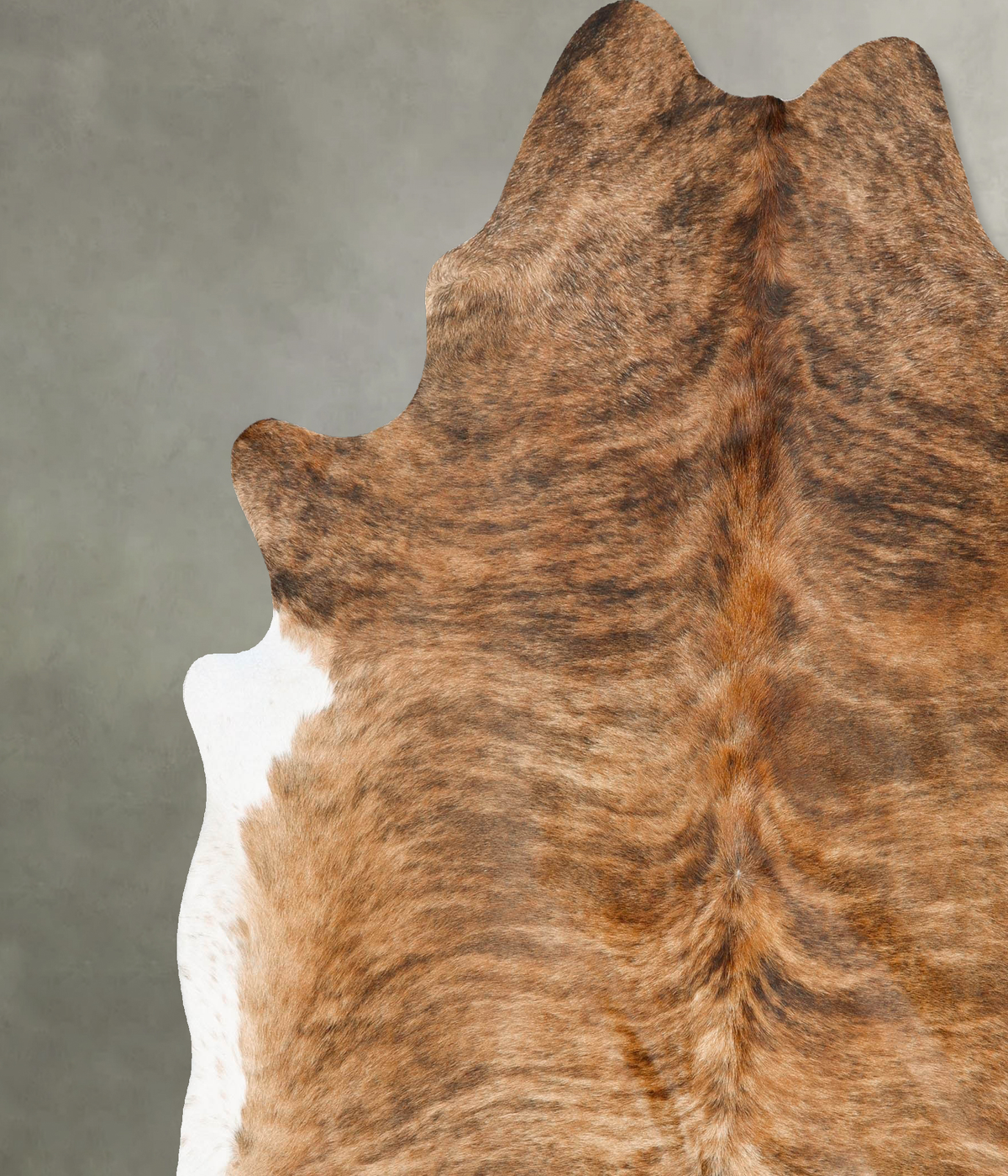 Light Brindle XX-Large Brazilian Cowhide Rug 8'1"H x 7'1"W #B27486 by Hudson Hides