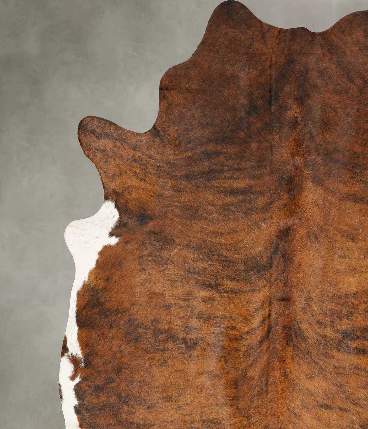 Medium Brindle XX-Large Brazilian Cowhide Rug 8'2"H x 7'6"W #B27490 by Hudson Hides