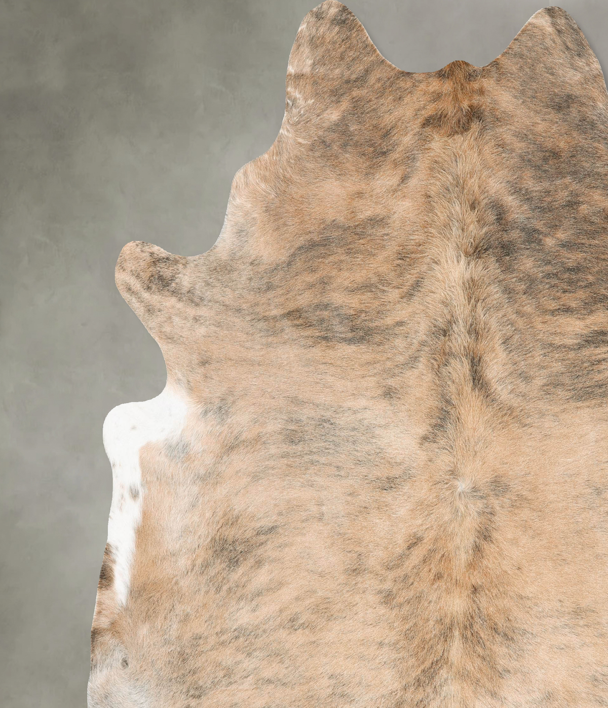 Light Brindle XX-Large Brazilian Cowhide Rug 8'6"H x 7'6"W #B27491 by Hudson Hides