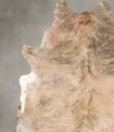 Light Brindle XX-Large Brazilian Cowhide Rug 8'6"H x 7'6"W #B27491 by Hudson Hides