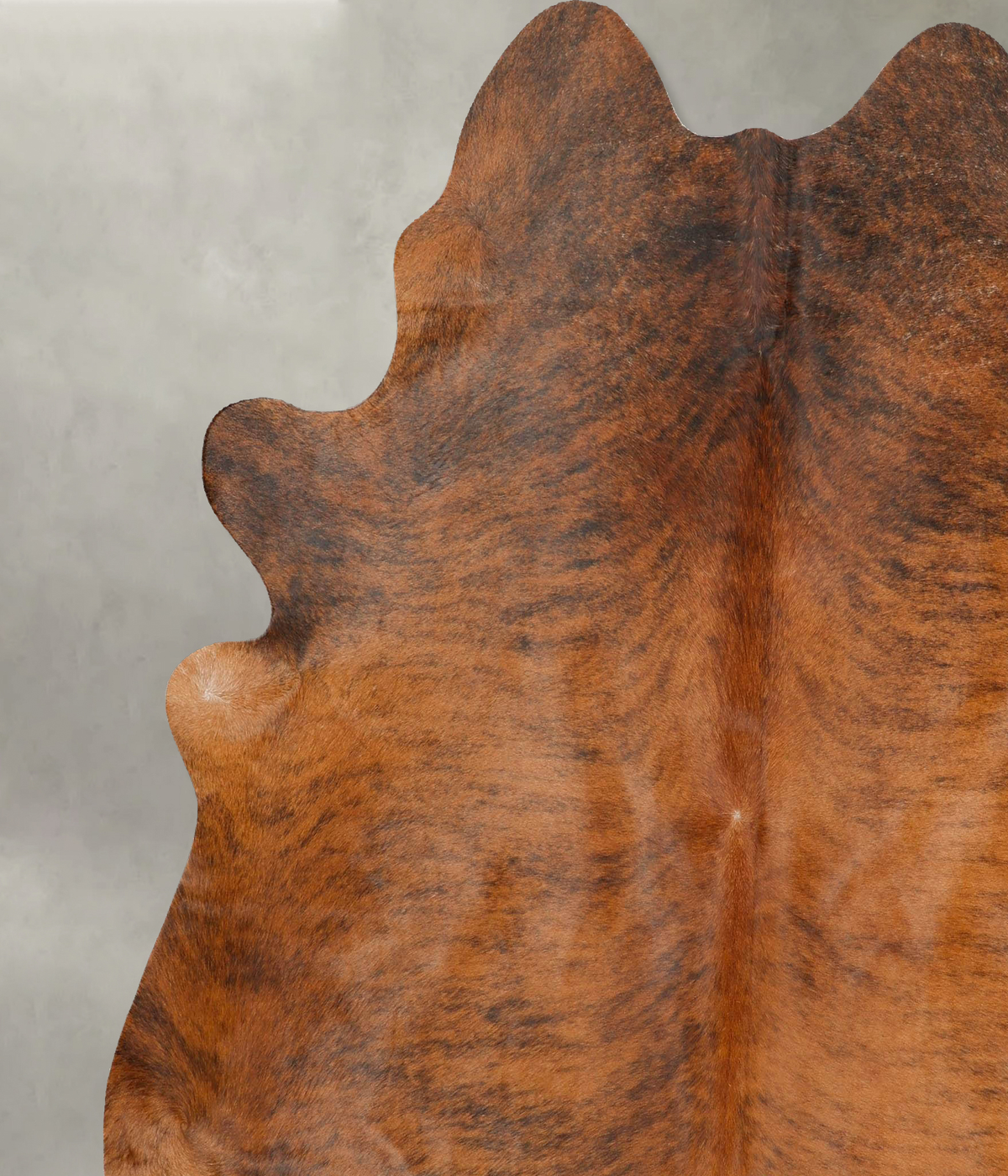 Medium Brindle XX-Large Brazilian Cowhide Rug 7'6"H x 6'11"W #B27502 by Hudson Hides