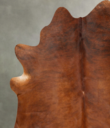 Medium Brindle XX-Large Brazilian Cowhide Rug 8'0"H x 7'1"W #B27507 by Hudson Hides