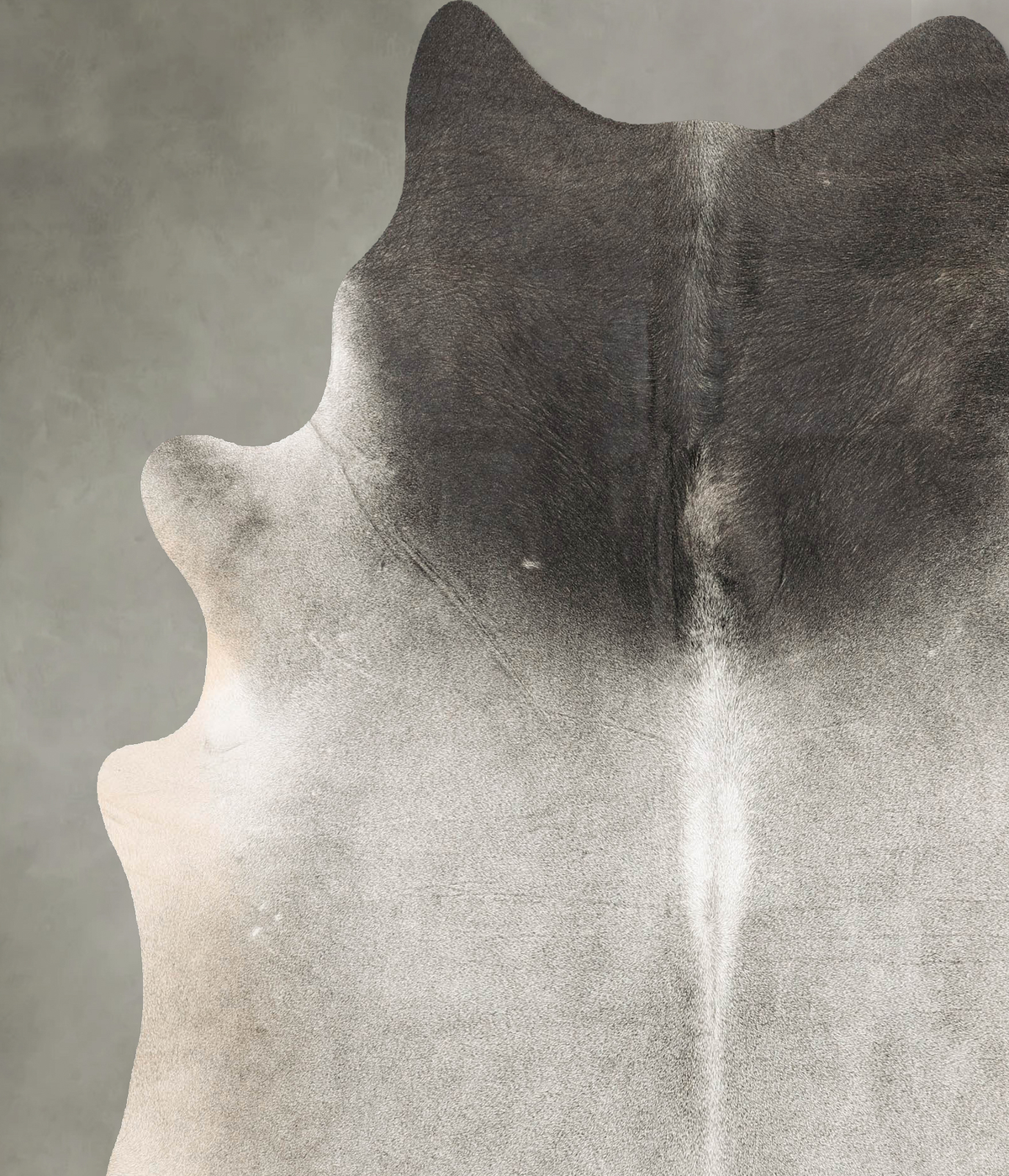 Medium Grey X-Large Brazilian Cowhide Rug 7'6"H x 6'3"W #B27512 by Hudson Hides