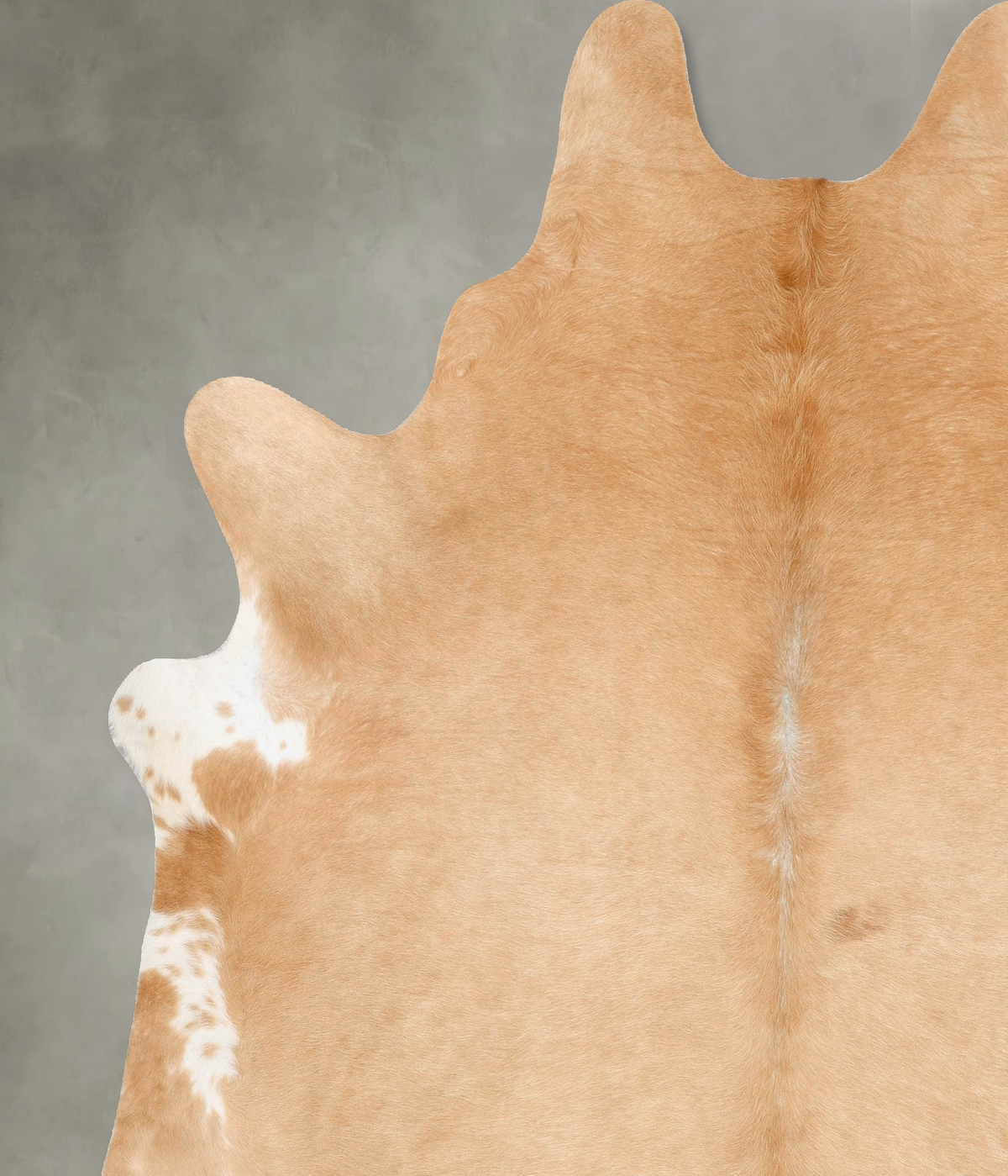 Beige XX-Large Brazilian Cowhide Rug 8'2"H x 7'1"W #B27552 by Hudson Hides