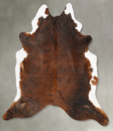 Medium Brindle XX-Large Brazilian Cowhide Rug 8'5"H x 7'2"W #B27556 by Hudson Hides