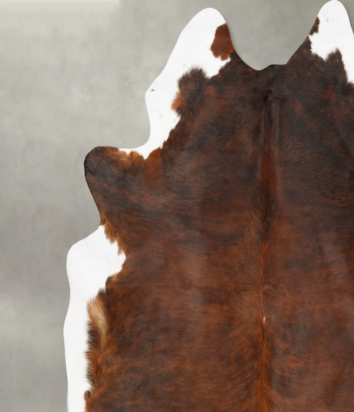 Medium Brindle XX-Large Brazilian Cowhide Rug 8'5"H x 7'2"W #B27556 by Hudson Hides
