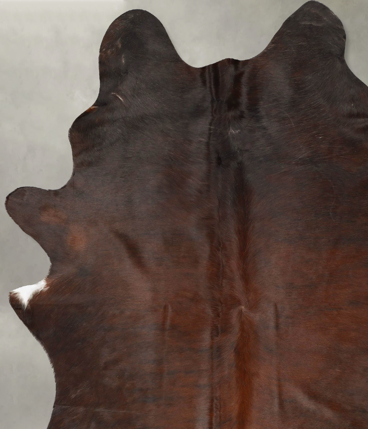 Dark Brindle XX-Large Brazilian Cowhide Rug 8'6"H x 6'4"W #B27564 by Hudson Hides