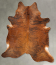 Medium Brindle XX-Large Brazilian Cowhide Rug 8'2"H x 7'5"W #B27568 by Hudson Hides