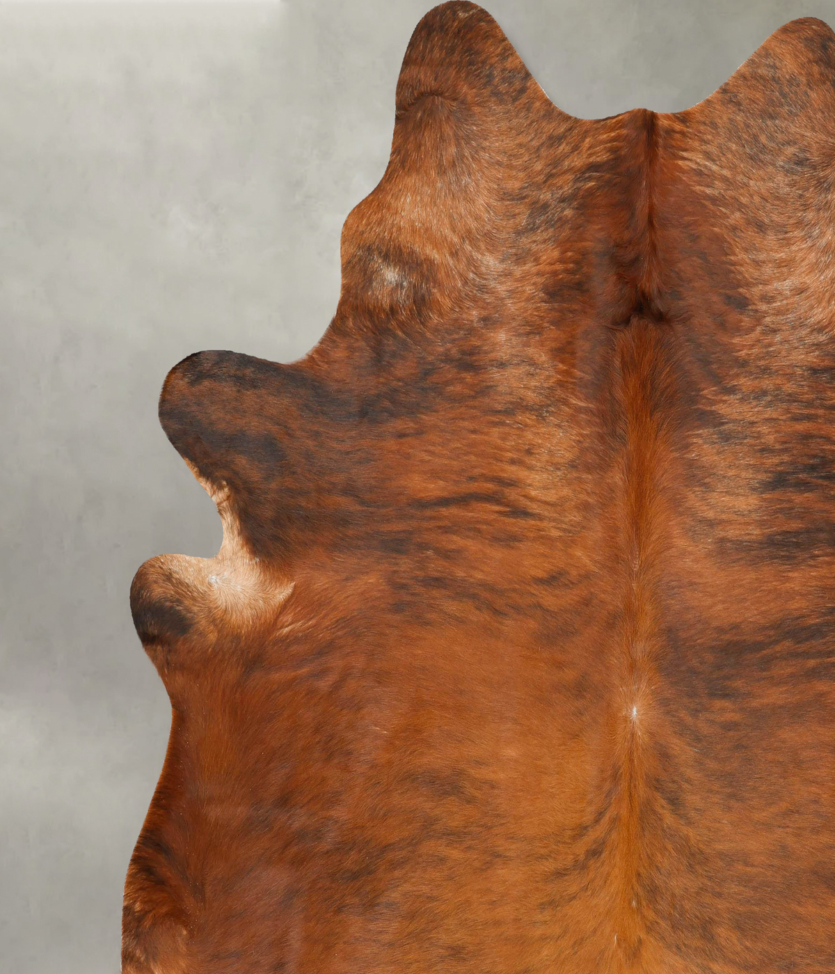 Medium Brindle XX-Large Brazilian Cowhide Rug 8'2"H x 7'5"W #B27568 by Hudson Hides