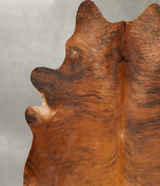 Medium Brindle XX-Large Brazilian Cowhide Rug 8'2"H x 7'5"W #B27568 by Hudson Hides