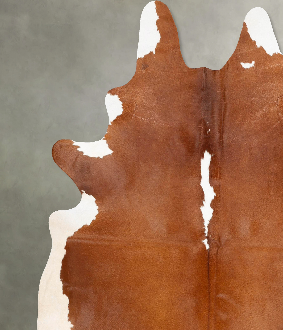 Brown and White Regular XX-Large Brazilian Cowhide Rug 8'4"H x 7'0"W #B27598 by Hudson Hides
